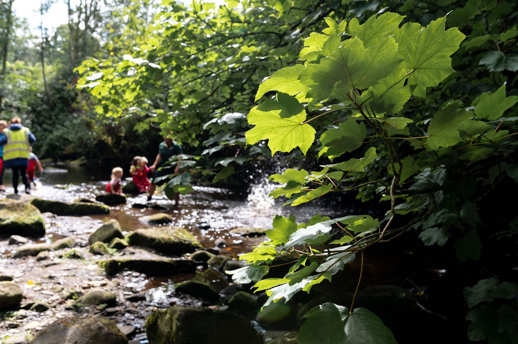 The Ark Mytholmroyd Forest School